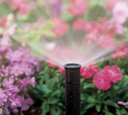 Underground lawn sprinkler installation in Vaughan